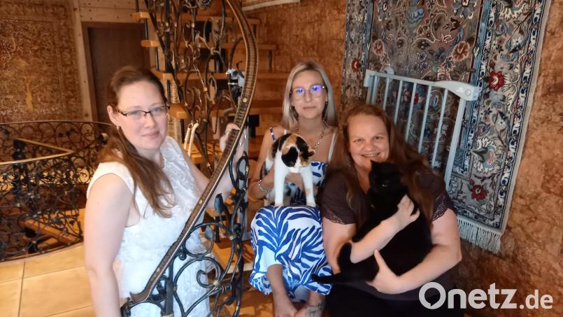 Christina Kuhn, Jenny Heigl (mt Katze Lilli) und Franziska Huber (mit Katze Layla; von links) wünschen sich, dass es allen Katzen so gut geht wie ihren Hauskatzen. Deshalb engagieren sie sich in einer neu gebildeten Gruppe für verwilderte Streuner. Bild: bl