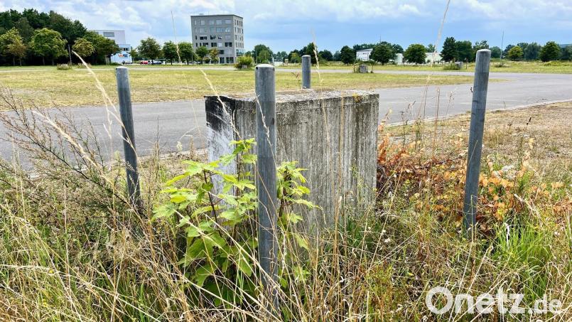 Wohngebäude, ein weiteres OTH-Gebäude oder sogar ein neues Klinikum? Die Überlegungen zur Bebauung des alten Festplatzes in Weiden gehen weiter. Bild: Gabi Schönberger
