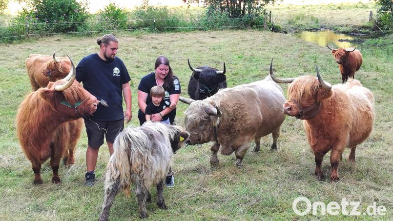 Ramona und Christian Dirscherl betreiben bei Winklarn eine Schottische-Hochlandrinder-Zucht unter dem Namen „Highland Cattle vom Aschatal“. Gäste sind zum Striegeln und Streicheln willkommen. Bild: Portner
