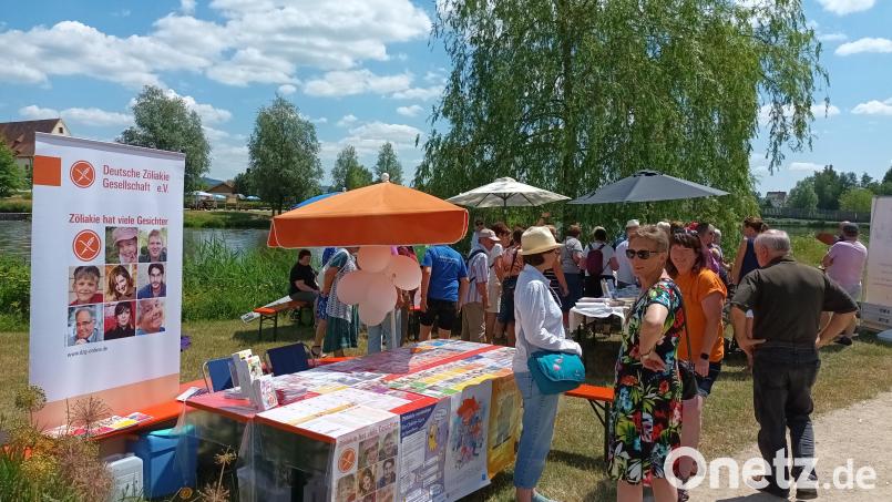 Im vergangenen Jahr informierten die Selbsthilfegruppen beim Kultur-Sommer in Tirschenreuth. Bild: Selbsthilfekontaktstelle Nordoberpfalz