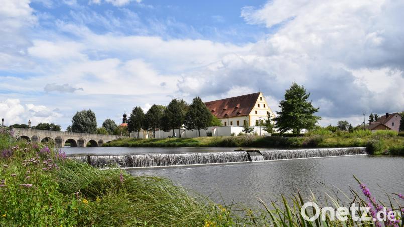 Der Tirschenreuther Stadtteich steht schon länger im Verdacht, die Temperatur der Waldnaab besonders während der Sommermonate stark zu beeinflussen. Der Lehrstuhl für Aquatische Systembiologie an der TU München hat deshalb rund ein halbes Dutzend Temperatur-Logger rund um den Stadtweiher installiert. Bild: szl