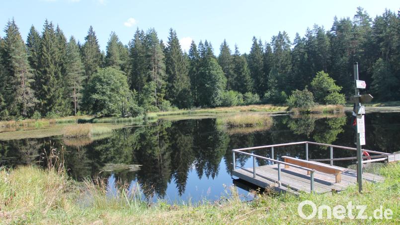 Der &quot;Sieben-Insel-Weiher&quot; ist ein idyllisches Fleckchen und zählt laut dem Wanderwart zu den Höhepunkten der beschriebenen Tour. Bild: pi