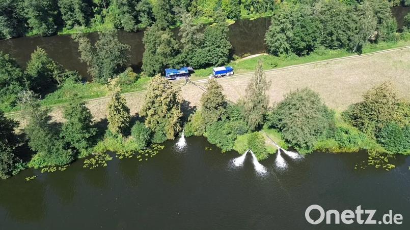 Mit seiner Hochleistungspumpe sorgt das THW Nabburg für Frischwasser im Kaliforniaweiher und verhindert ein Fischsterben. Bild: THW Nabburg/exb