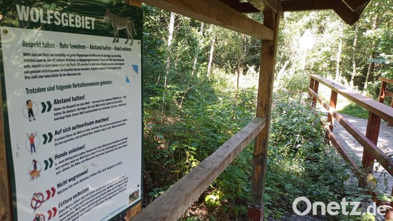 Eine Tafel in der Nähe des Waldfriedhofs in Weiden an der Brücke über den Stadtbach gibt Spaziergängern und Hundehaltern Hinweise über das Verhalten im Wolfsgebiet. Bild: ui