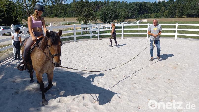 Hier reitet die zwölfjährige Amelie auf dem Wallach &quot;Lucky&quot;, auf dessen Rücken künftig auch Kinder und Erwachsene zu Therapiezwecken im Sattel sitzen werden. Für Stephan Eisel von Reit-und Therapiezentrum Bühllohe fungiert das Pferd dann vor allem als &quot;Türöffner&quot;. Bild: bl
