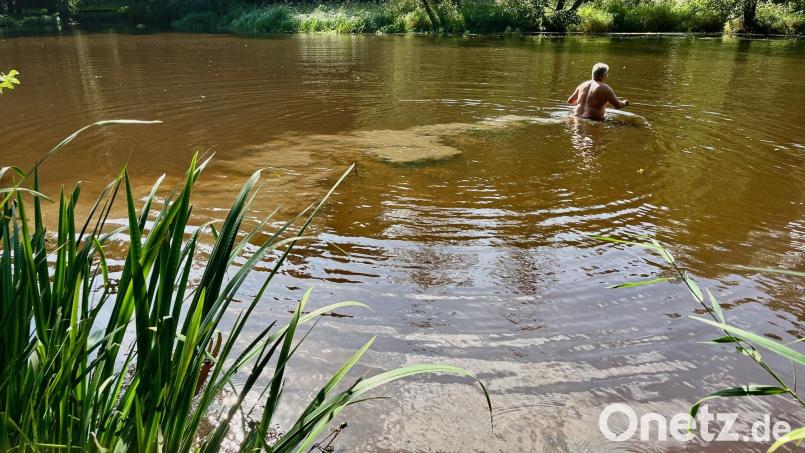 Peter Augustin kennt die Pfreimd nach eigener Aussage in- und auswendig. An der Thonmüle ist er jahrelang schwimmen gegangen. Jetzt watet er hier bis zum Becken durch Schlamm. Bild: Gabi Schönberger