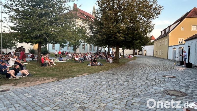 Begeisterte Besucher genießen das Sommerpicknick mit Ben Stone im Schlosshof Nabburg. Bild: Marko Pammer/exb