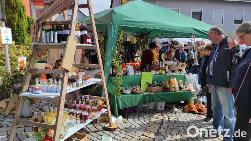 Der Regionalmarkt Tännesberg lockte auch im vergangenen Jahr mit lokalen Erzeugern, regionalen Handwerkern, Künstlern und Spezialitäten sowie einem vielfältigen Rahmenprogramm. Bild: Landimpuls