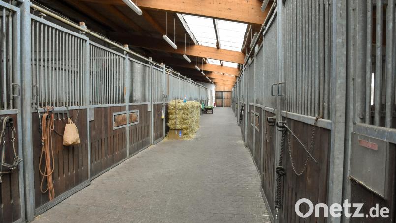 In diesem Pferdehof im Landkreis Amberg-Sulzbach sollen Tiere wiederholt vernachlässigt worden sein. Das Amtsgericht Amberg ist nun zu einer Entscheidung gekommen, der fünf nachgewiesene Fälle zugrunde liegen. Archivbild: Stephan Huber