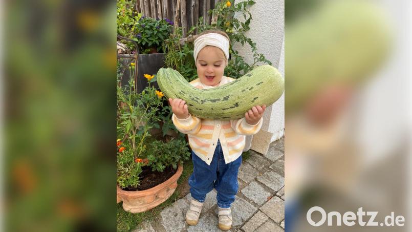 Knapp vier Kilogramm wiegt die Zucchini, die Ida Meier stolz in den Armen hält. Bild: Nadine Meier
