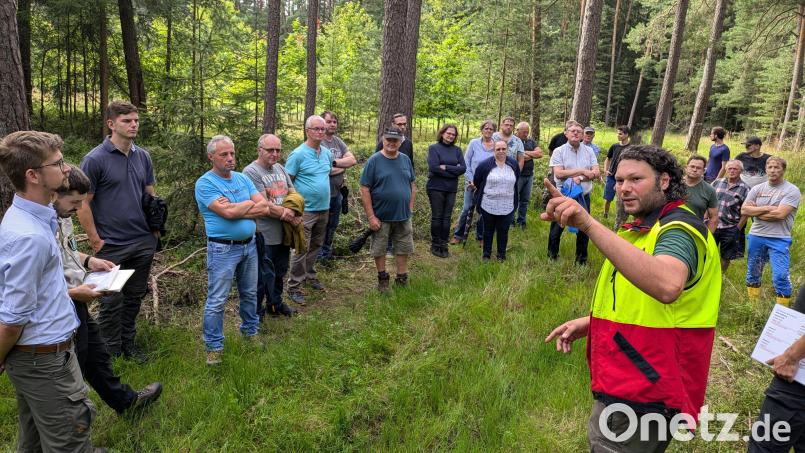 Johannes Bogner erklärt den Waldbauern den Verlauf der Holzerntemaßnahme. Bild: Sven Grünert/exb