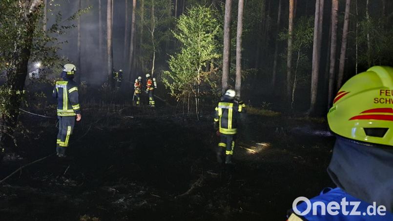 Rund 130 Feuerwehrleute bekämpfen in einem unwegsamen Waldgebiet bei Bodenwöhr einen Flächenbrand Symbolbild: Kreisbrandinspektion Landkreis Schwandorf