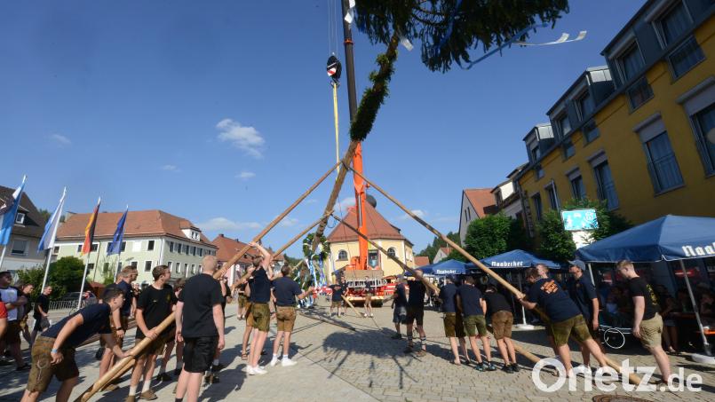 Mit viel Manneskraft und "Schwalben", dazu noch technische Hilfsmittel, - nach einer guten Stunde steht der Kirwabaum auf dem Wernberger Marktplatz, Bild: bey