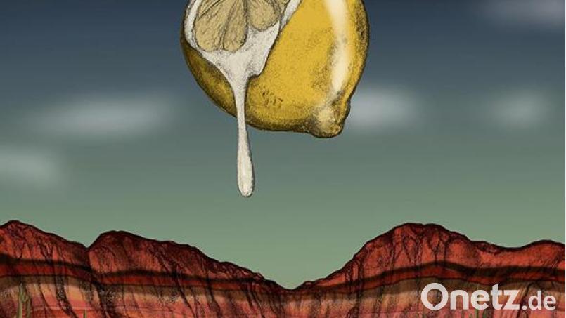 Bones Owens - Love Out Of Lemons (Thirty Tigers) Bild: Thirty Tigers