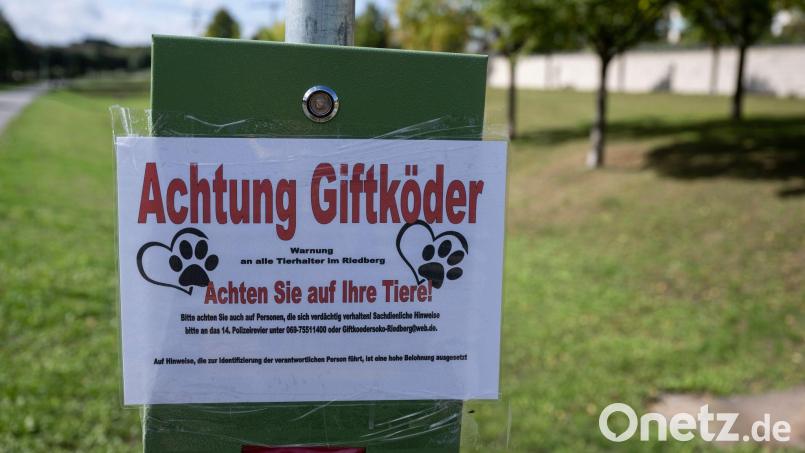 Ein Giftköder wäre einer Französischen Bulldogge in Amberg fast zum Verhängnis geworden. Symbolbild: Boris Roessler/dpa