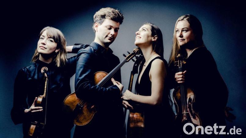2020 gastierte das Barbican Quartet noch als “Rising Stars“, als "aufgehende Sterne", in der Nachwuchsreihe des Kammermusikfestivals Regensburg. In diesem Jahr werden zwei Konzerte in unterschiedlicher Besetzung angeboten. Bild: Andrej Grilc/exb