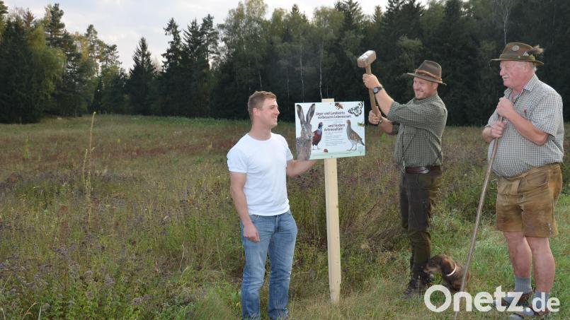 Landwirt Nikolai Rupprecht und die Waidmänner Florian Forster und Josef Gollwitzer (von links nach rechts) setzen sich für den Erhalt einer Blumenwiese in Nähe Lerau ein. Rauhaardackel Rudi begutachtet das Tun. Bild: dob