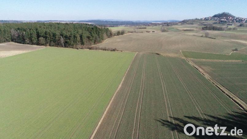 Am Waldrand (links) sollte laut Planung ein Windrad errichtet werden. Das ist momentan durch die Vorgaben des Regionalen Planungsverbandes Oberpfalz-Nord infrage gestellt. Bild: bey