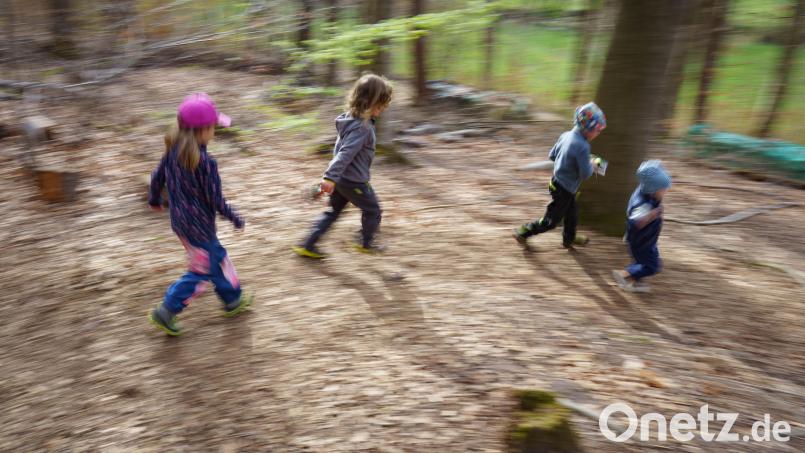 Die Kinder im Waldkindergarten verbringen die meiste Zeit unter freiem Himmel. Symbolbild: Frank Rumpenhorst/dpa