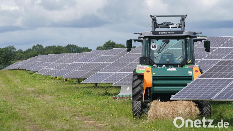 So ähnlich könnten die Agri-PV-Anlagen bei Haidenaab und Göppmannsbühl einmal aussehen. Die dafür benötigten Flächen könnten großteils weiter landwirtschaftlich genutzt werden. Die Interessengemeinschaft Haidenaab-Göppmannsbühl bezweifelt aber die Sinnhaftigkeit weiterer Solarparks im Gemeindegebiet. Symbolbild: Marcus Brandt/dpa