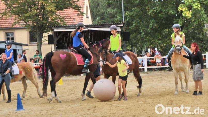 Beim Pferdeball hatten nicht nur die Zuschauer ihren Spaß, auch die Reiterinnen fanden Gefallen an dem lustigen Wettbewerb. Dabei tat sich die Haflingerstute Primel als Doppeltorschützin hervor. Bild: whü