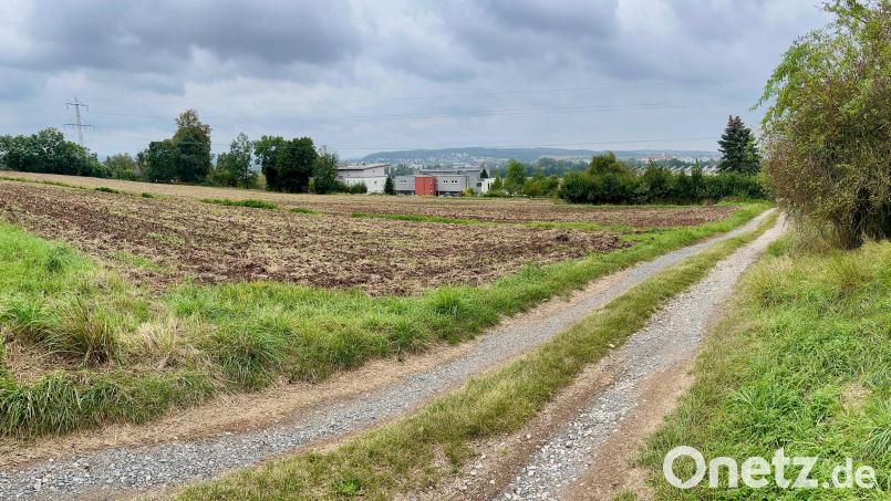 Östlich des Schirmitzer Wegs liegen Wiesen und Ackerland. Weil eine Bebauung eher unrealistisch ist, zählt diese Fläche zu denen, die die Verwaltung nun nicht mehr als Siedlungsfläche im Flächennutzungsplan haben möchte. Bild: Gabi Schönberger