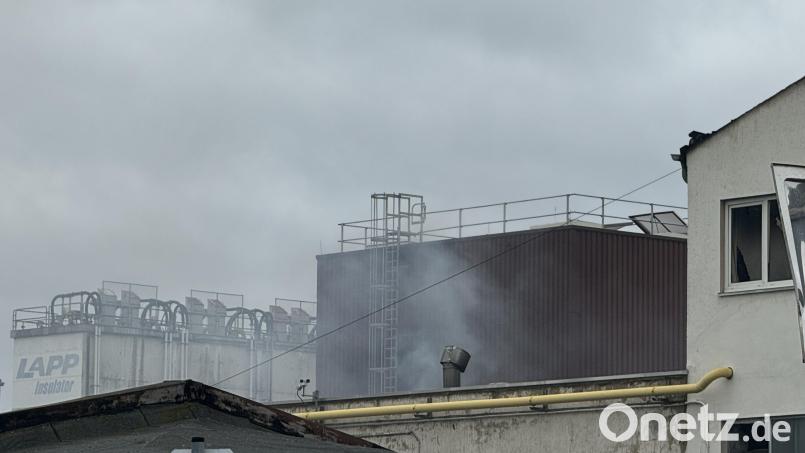 Hier soll nach dem Willen der Verantwortlichen von Lapp Insulators schon bald wieder gearbeitet werden. Bild:  Matthias Bäumler/fph