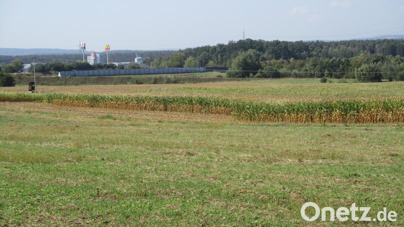 Gegenüber dem Industreegebiet West I, auf der östlichen Seite der A93, könnte in naher Zukunft eine Freiflächen-Photovoltaikanlage errichtet werden. Die Firma Greenovative stellte eine entsprechende Anfrage. Bild: bnr