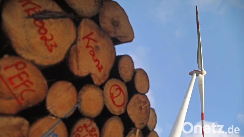 Nachwachsende Rohstoffe wie Holz, Sonnen- und Windenergie spielen eine wichtige Rolle auf dem Weg zu einer karbonfreien Versorgung. Symbolbild: Oliver Berg