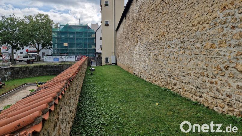 Der Bereich zwischen innerer und äußerer Stadtmauer heißt Zwinger. Aus mehreren Gründen eignet sich das Areal hervorragend für ein Taubenhaus. Doch die Pläne der Stadt wurden vom Landesamt für Denkmalpflege durchkreuzt. Bild: Tobias Gräf