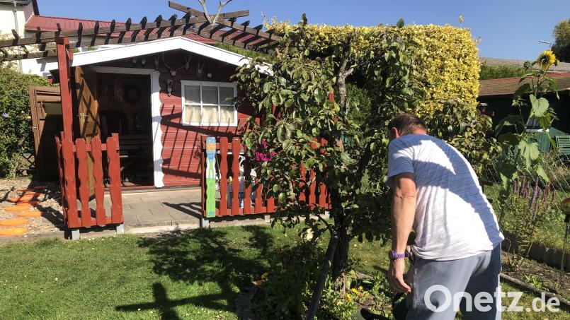 Das Reich der Eheleute Petra und Günther ist nicht nur wegen des roten Gartenhäuschens ein idyllischer Ort. Bild: wro
