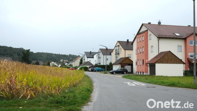 Gegenüber der Wohnbebauung in der Fröbelstraße in Krondorf plant die Stadt Schwandorf die mittlerweile 18. Kindertagesstätte. Das Problem: Das landwirtschaftlich genutzte Grundstück liegt in einem ausgewiesenen Überschwemmungsgebiet. Bild: Hirsch