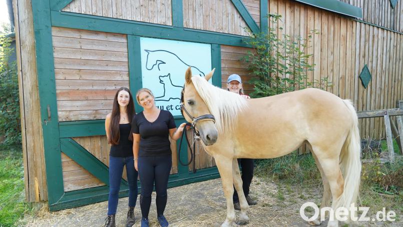 Anja Schwarz (Mitte) mit Melissa Siegert und Petra Enzmann (von links) mit Stute &quot;Olympic&quot;. Bild: kaz