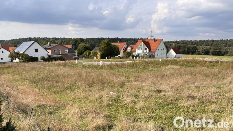 Vier Parzellen umfasst das neue Baugebiet in Oberleinsiedl. Bild: Regina Kießling/exb