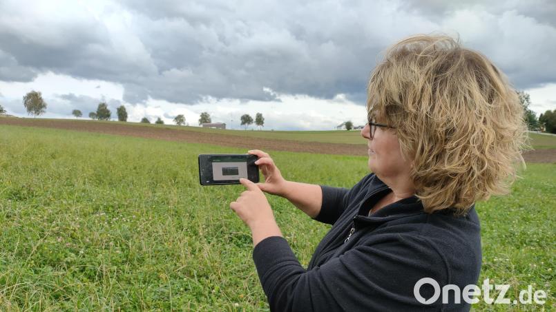 Erika Sauer aus Moosbach nutzt die Fal-By-App. Bild: ald