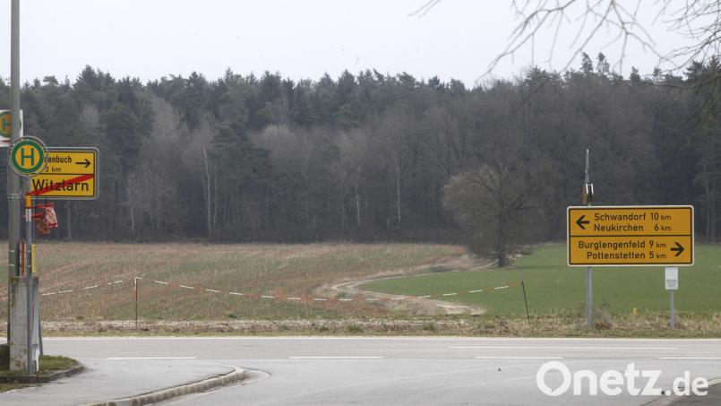 Hier auf Witzlarns Höhen an der Grenze zur Stadt Burglengenfeld will die Stadt Schwandorf Vorrangflächen für Windenergie ausweisen. Bild: Hirsch