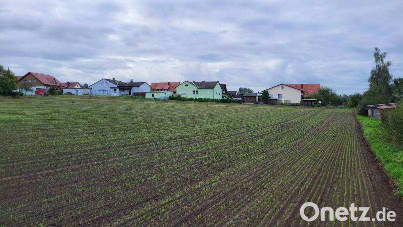 Auf dieser Fläche entsteht in Plößberg das neue Baugebiet &quot;Orgelbühl&quot;. Bild: rti