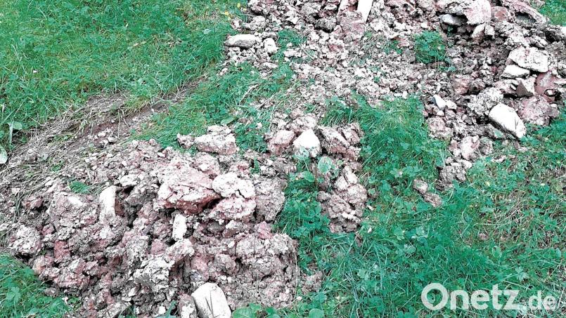 Einer der Bauschutthügel im Manteler Forst. Der Verursacher der illegalen Ablagerungen ist bereits identifiziert. Bild: PI Neustadt a.d.Waldnaab/Bayerische Staatsforsten