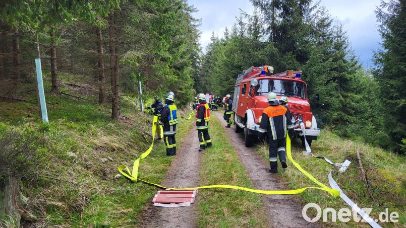 Bei dieser Waldbrandübung 2023 übten tschechische und deutsche Feuerwehrleute im Kaiserwald. Archivbild: rti