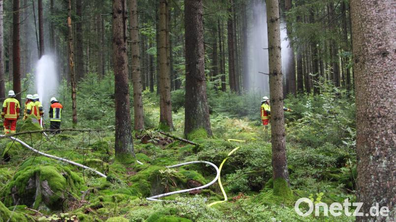 Bei der Einsatzübung im Waldgebiet &quot;Brand&quot; mussten die Hilfskräfte Flammen auf einer Fläche von 1,4 Quadratkilometern bekämpfen. Bild: wro