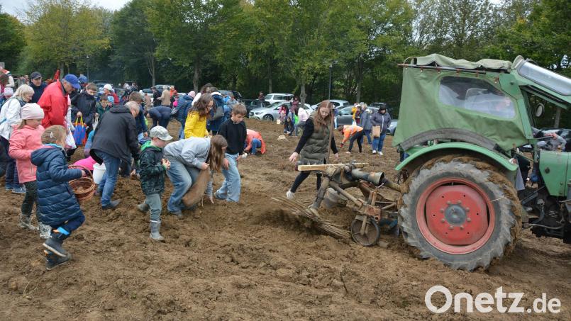 Aus der Kartoffelernte hat die Gemeinde Bad Neualbenreuth ein großes Fest gemacht. Bild: jr