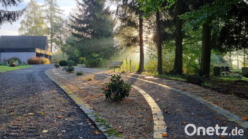 Die Urnengrabanlage auf dem Waldfriedhof in Krummennaab wurde um 50 Gräber erweitert. Das Areal befindet sich neben dem &quot;Auge Gottes&quot;. Bild: kaz