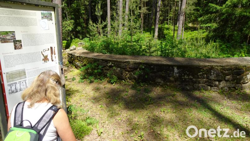Infotafeln an den Resten des &quot;Bistubn&quot; genannten mittelalterlichen Bienenhauses im Wald bei Schlammersdorf vermitteln einen lebendigen Eindruck von der Ausgrabung, den Funden und der Bedeutung des ehemaligen runden Gebäudes. Bild: ui