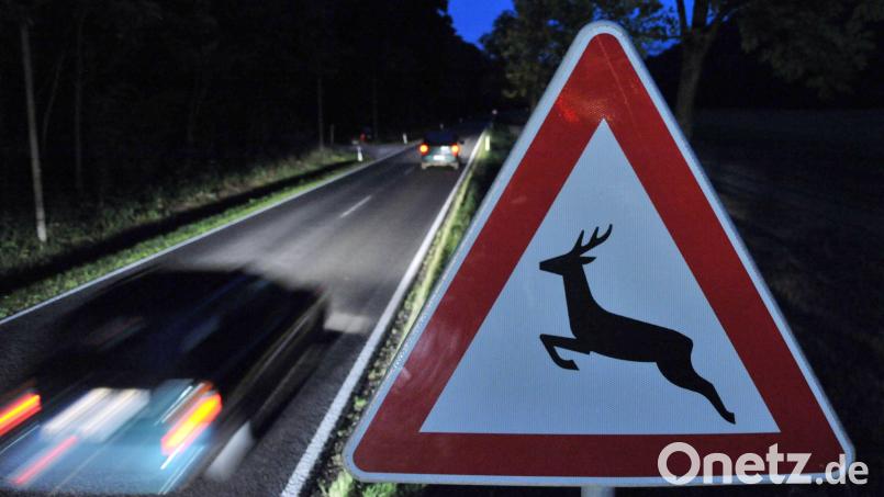 Eine Vollbremsung wegen eines Wildwechsels führte bei Immenstetten zu einem Auffahrunfall mit zwei Verletzten. Symbolbild: Martin Schutt
