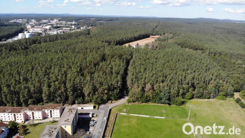 Dieser Wald (im Vordergrund der Platz des VfB Weiden) gehört den Bayerischen Staatsforsten. Einst sollte hier nach einem Tauschgeschäft mit einem Wald in Franken das Gewerbegebiet West IV entstehen. Archivbild: Gustl Beer