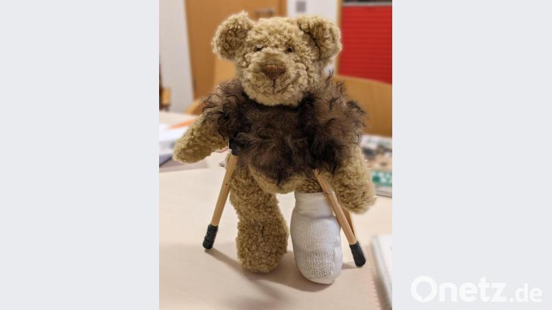Auch diesem verletzten Teddybären wird am Sonntag, 20. Oktober, geholfen. Bild: Christine Scharinger/exb
