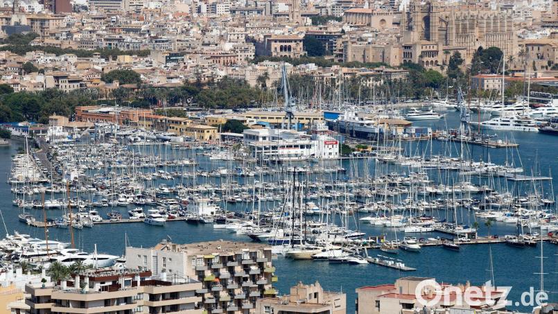 Der tragische Unfall geschah auf der Partyinsel unweit des Jachthafens. (Foto Archiv) Bild: Clara Margais/dpa