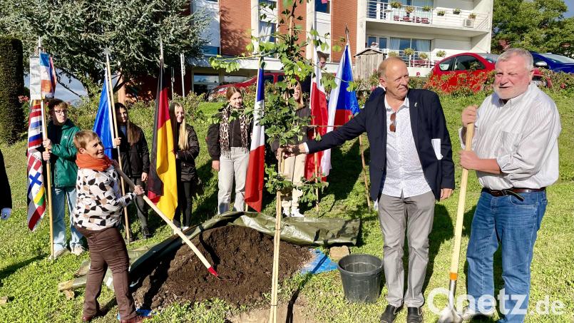 Diemeringens Bürgermeisterin Nicole Oury (links) und Hartmut Schendzielorz (rechts) pflanzen gemeinsam einen &quot;Baum der Freundschaft&quot; Bild: Gerhard Krones