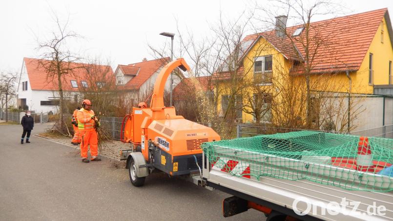 Der Großhäcksler der Stadtgärtnerei zerkleinert Äste und Schnittgut. Bild: Susanne Uschold, Stadt Amberg