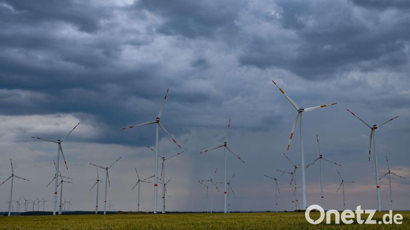 Der Stadtrat in Eschenbach möchte prüfen lassen, ob im Unteren Stadtwald Windkraftanlagen errichtet werden können. Dort ist jedoch der Seeadler beheimatet. Symbolbild: Patrick Pleul/dpa